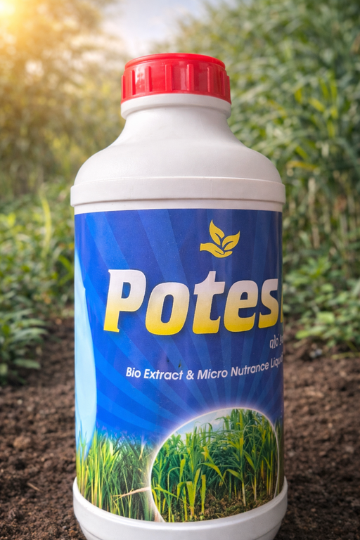 POTES